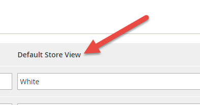 default_store_view.png